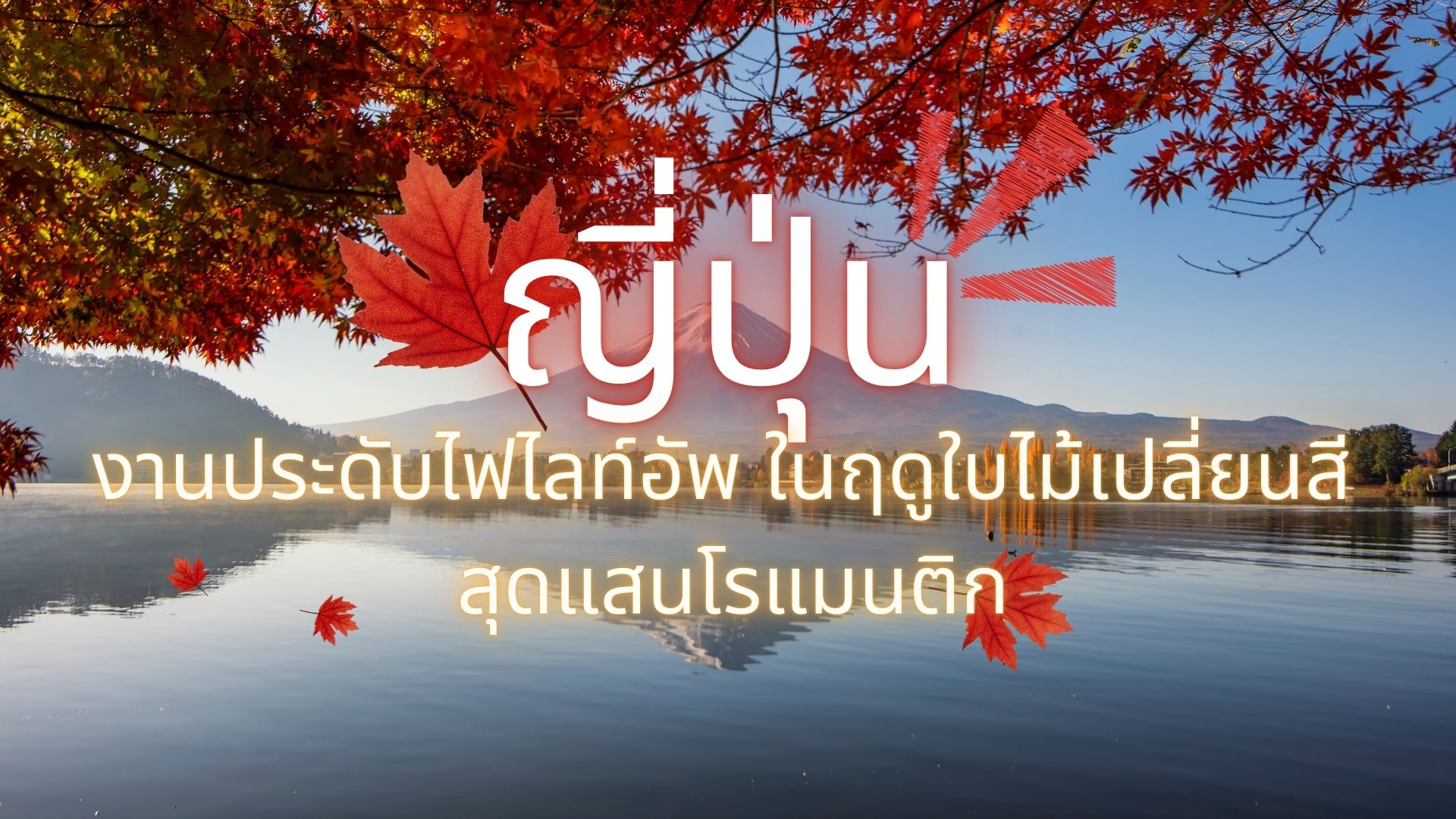 งานประดับไฟไลท์อัพ ในฤดูใบไม้เปลี่ยนสี สุดแสนโรแมนติก