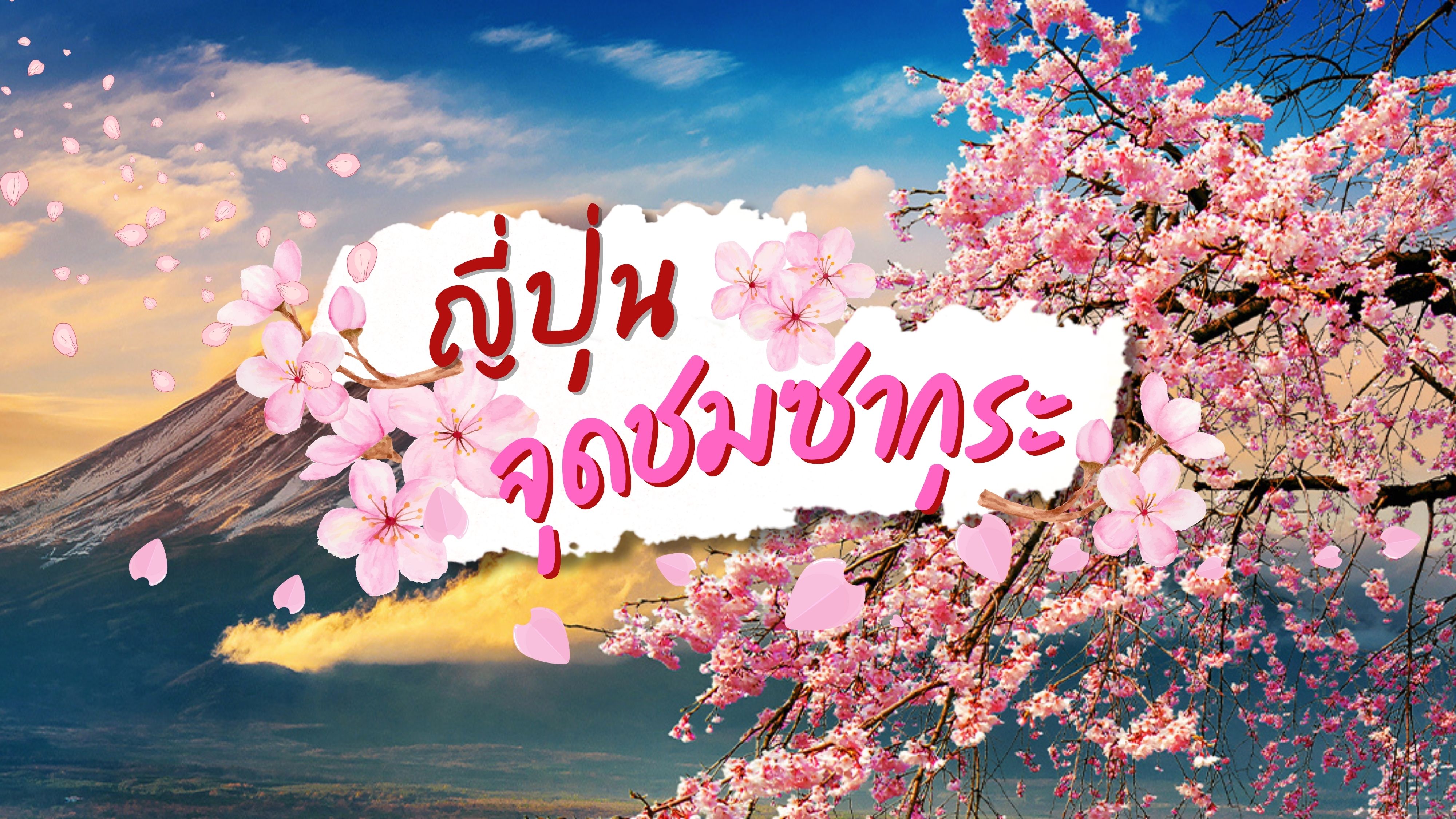 เส้นทางซากุระ